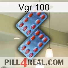 Vgr 100 05